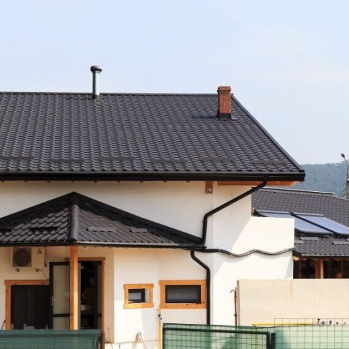 bilka balcanic (10)