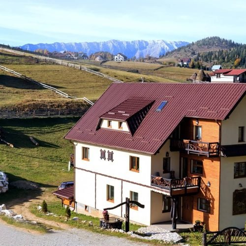 bilka balcanic (30)