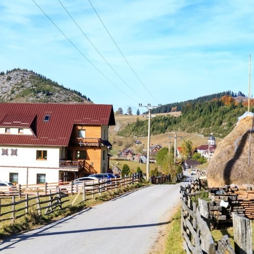 bilka balcanic (31)